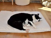 Impressionen Mitgliedertreffen